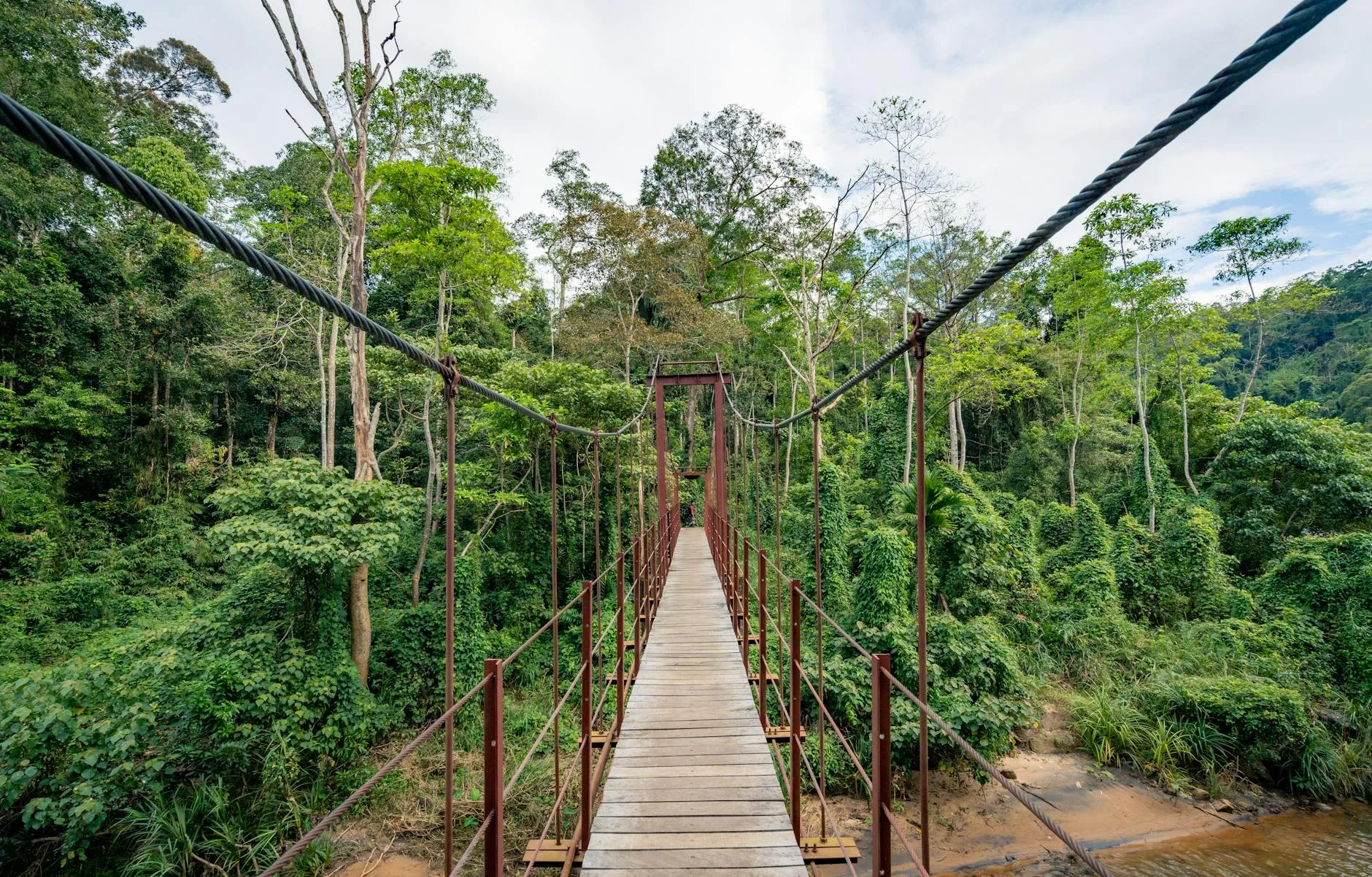 Danum Valley – Rencontres en forêt primaire