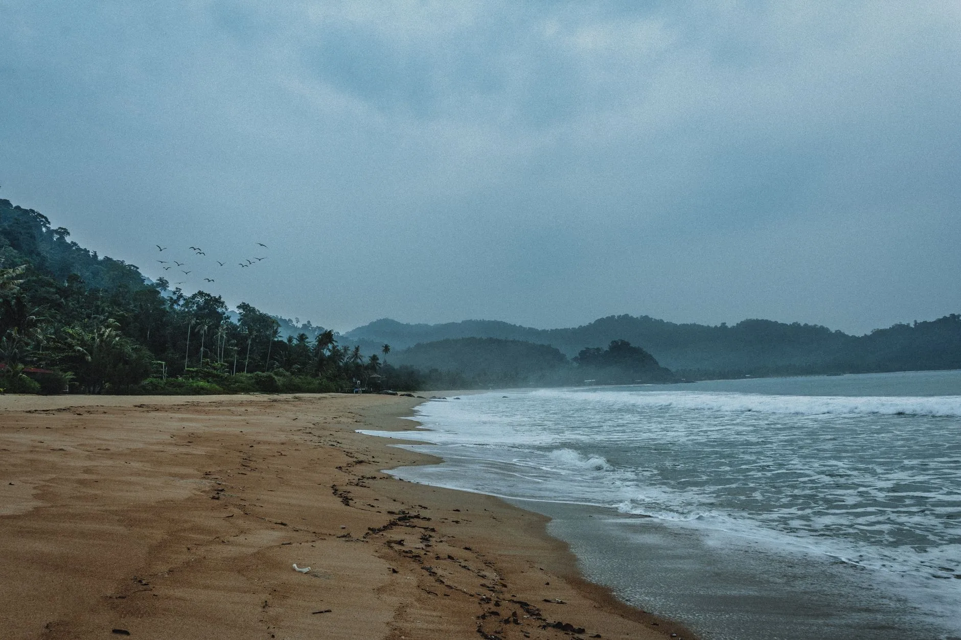 L'île Tioman — Jungle, plongée et diversité