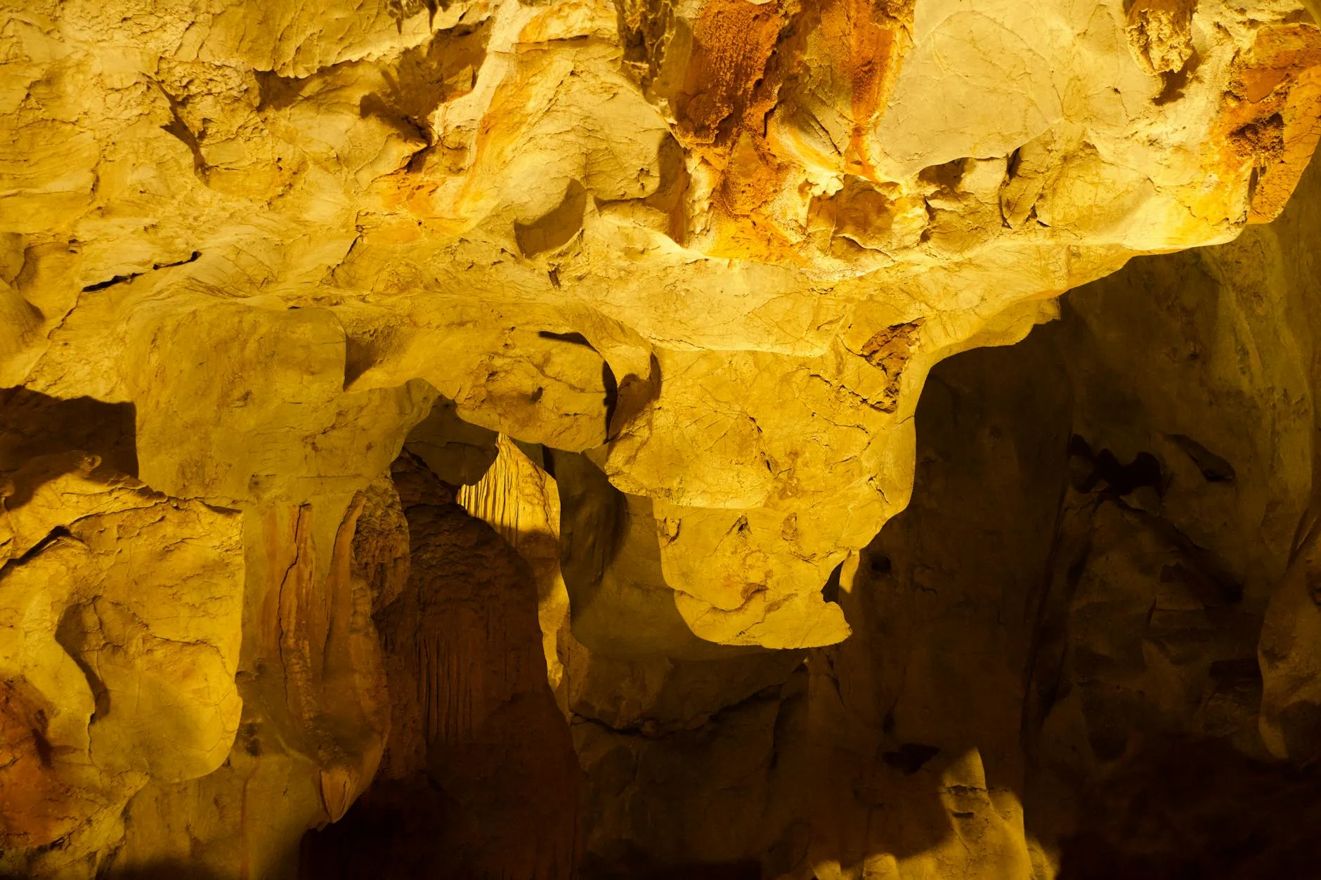 Gunung Mulu National Park (Sarawak) – Cavernes et jungle