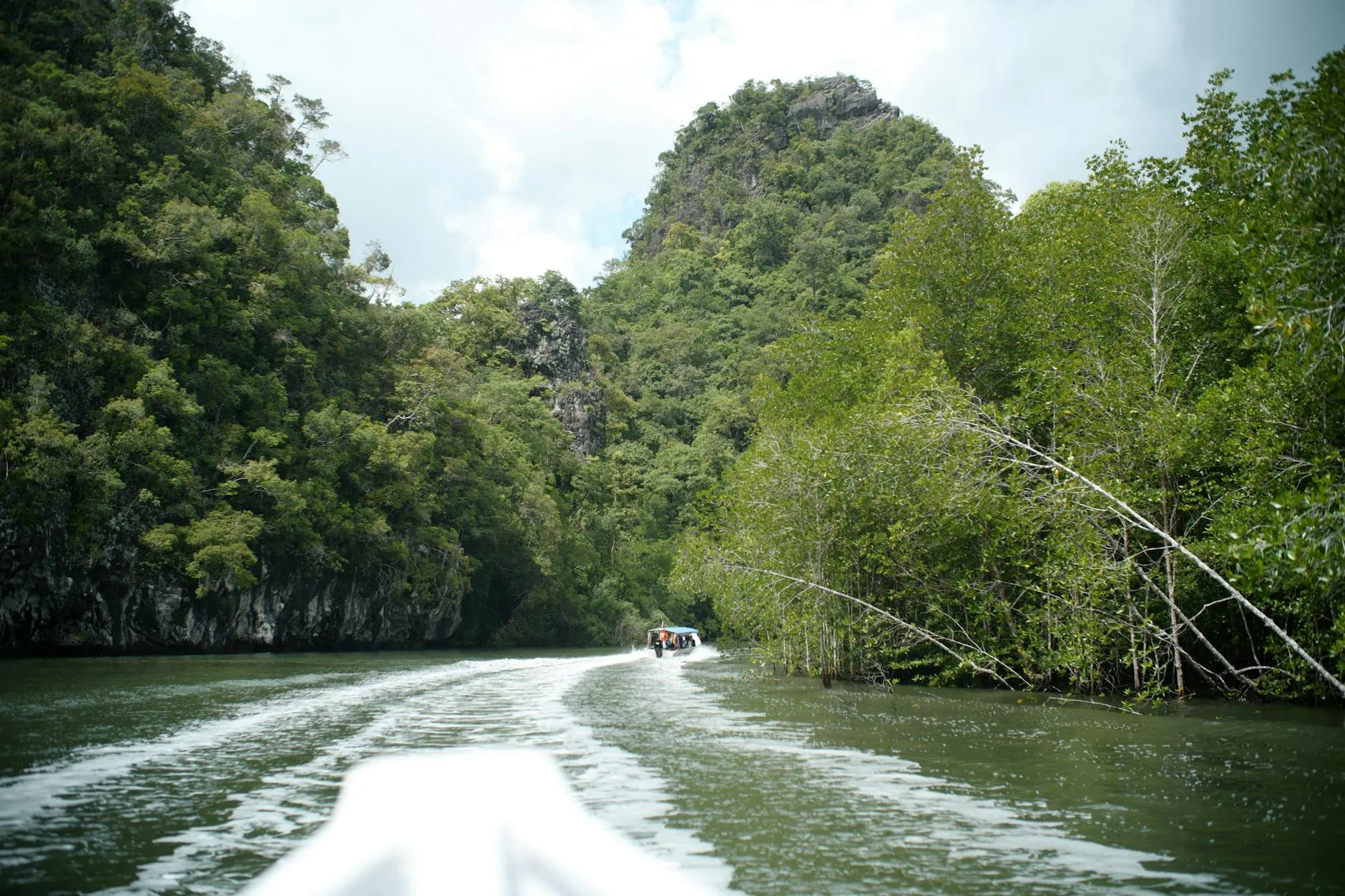 Kilim Geoforest Park : mangroves et kayak