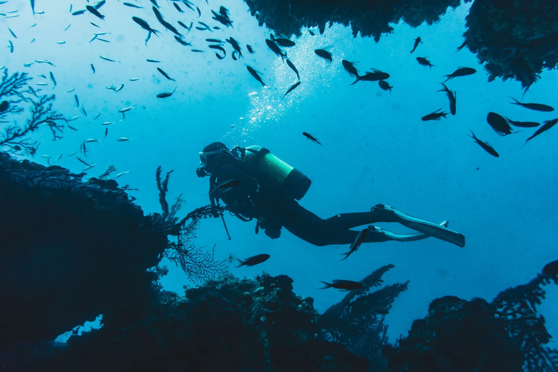 Plongée sous-marine : Tioman parmi les grands sites de Malaisie